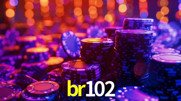 br102 App Interface