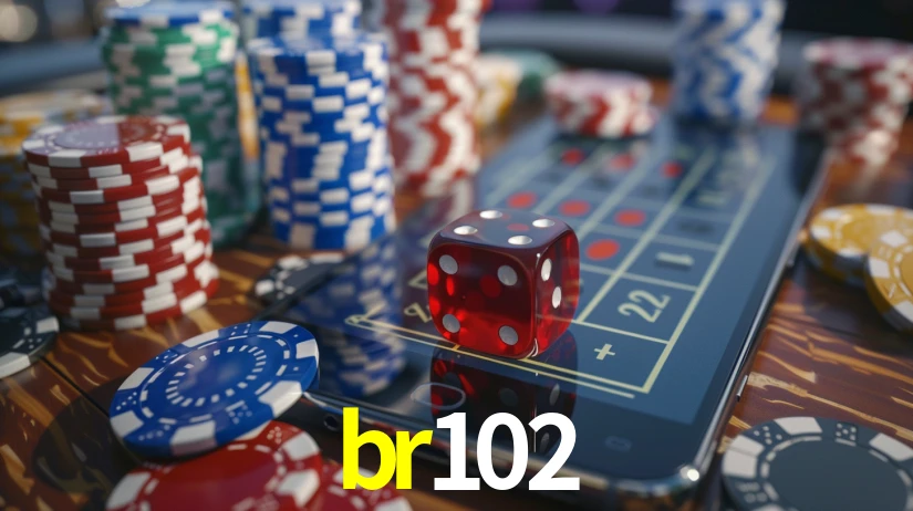 Premium Interface br102