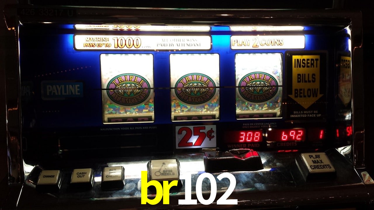 Secure Login br102